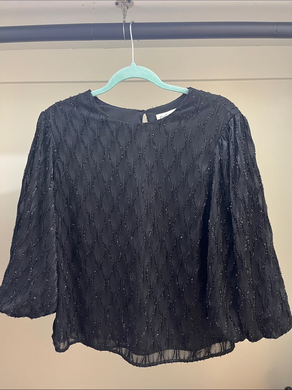She and Sky black and glittery blouse!